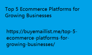 Top 5 Ecommerce Platforms for Growing Businesses