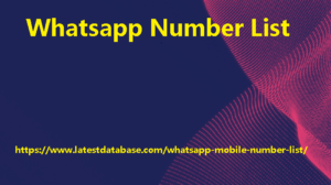 Whatsapp Number List