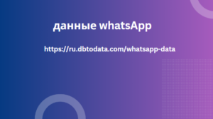 данные whatsApp