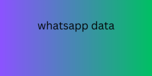 whatsapp data 